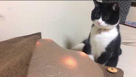 I_ will_show_you_what_is_inside.jpg